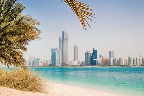 The Dubai real estate market: 2024 results and forecasts for 2025