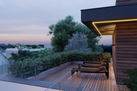 Billionaire buys the most expensive villa in Dubai for $163 million