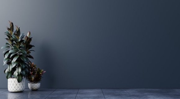 Palm Jumeirah mansion for sale in Dubai for 302.5 million dirhams