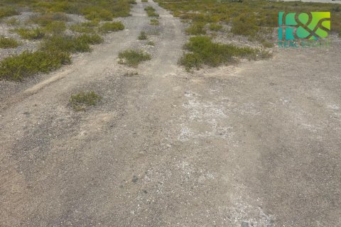 Pozemek v Ras Al Khaimah, SAE 650.4 m² Č.: 568517 - fotografie 5