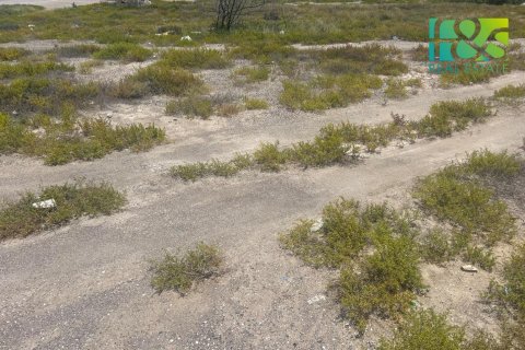 Pozemek v Ras Al Khaimah, SAE 650.4 m² Č.: 568517 - fotografie 3