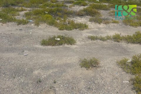 Pozemek v Ras Al Khaimah, SAE 650.4 m² Č.: 568517 - fotografie 4