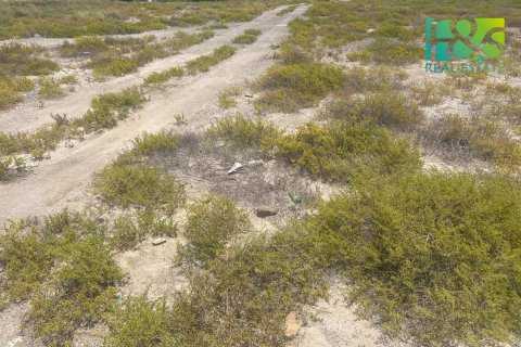 Pozemek v Ras Al Khaimah, SAE 650.4 m² Č.: 568517 - fotografie 2
