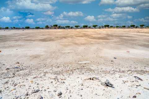 Lupain sa Shakhbout City, Abu Dhabi, UAE 3205 sq.m. № 594247 - larawan 22