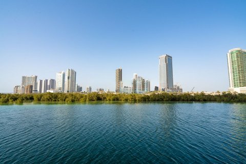 阿联酋 Abu Dhabi Al Reem Island 待售 : 168 平方米 , 编号594808 - 照片 8