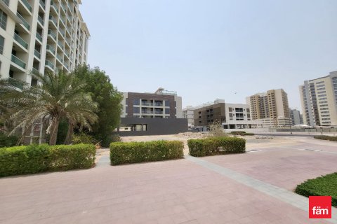 Land zum Verkauf in Dubai, VAE 1474.1 m2 Nr. 624856 - Foto 9