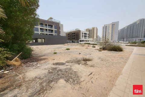 Land zum Verkauf in Dubai, VAE 1474.1 m2 Nr. 624856 - Foto 14