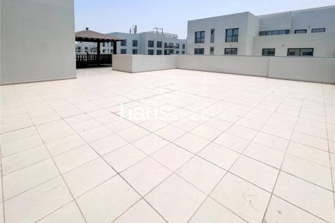 阿联酋 Dubai Town Square 待租 : 3 卧, 241 平方米 , 编号626453 - 照片 10