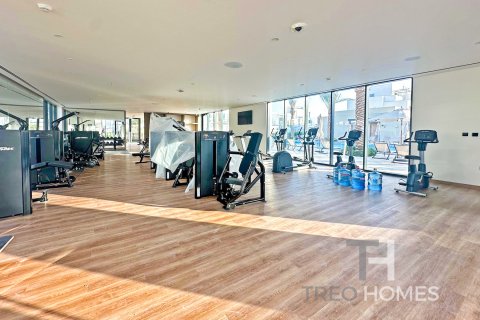 The Valley, Dubai, BAE’de kiralık townhouse 3 yatak odası, 192 m&sup2; No 597663 - fotoğraf 7
