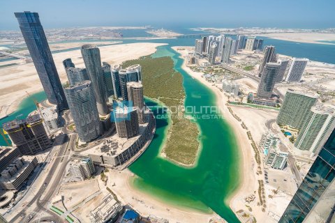 阿联酋 Abu Dhabi Al Reem Island 待售 : 2 卧, 122.6 平方米 , 编号610811 - 照片 1