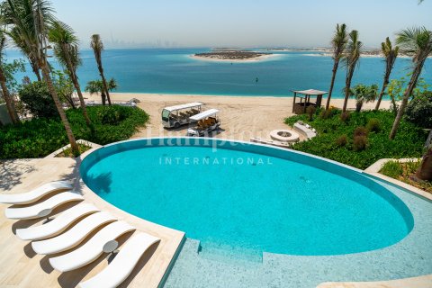 Вилла The World Islands, Дубай, БАӘ-да 6 жатын бөлмелер, 1826.75168900 м² № 590588 - фото 15