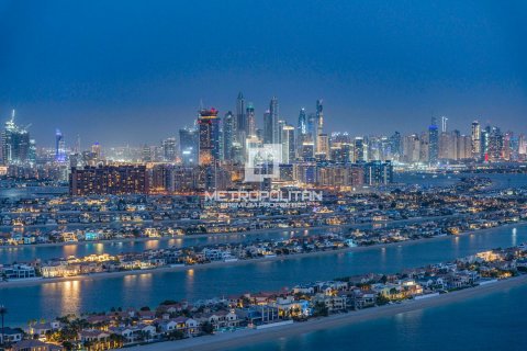 阿联酋 Dubai Palm Jumeirah 待租 : 4 卧, 401 平方米 , 编号593710 - 照片 12