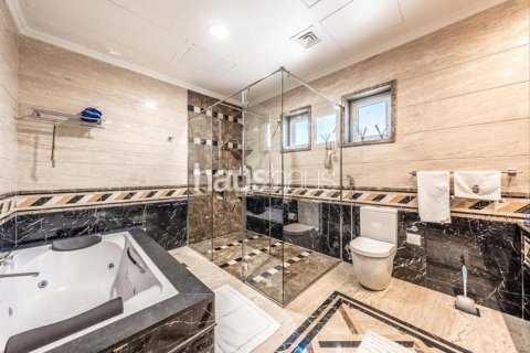 Vila v Al Khawaneej, Dubai, SAE 7 ložnice, 1035 m² Č.: 626213 - fotografie 9