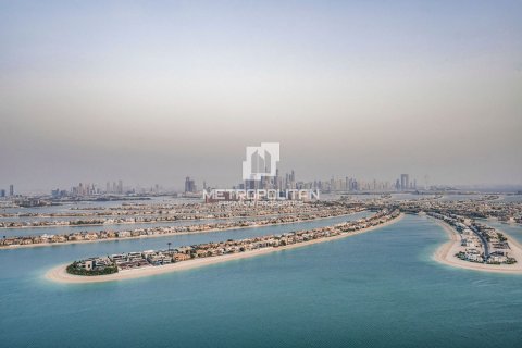 Palm Jumeirah, Dubai, UAE의 판매용 아파트 침실 4개, 505제곱미터 번호 592992 - 사진 17