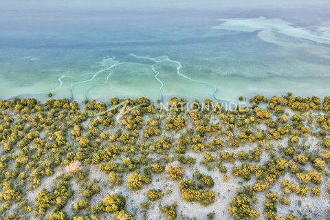 Shtëpi në qytet në Abu Dhabi, Emiratet e Bashkuara Arabe 4 dhoma gjumi, 282 m2. № 610613 - Foto 11