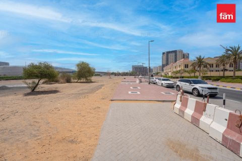 Terra para venda em Wadi Al Safa 2, Dubai, EAU 525.3 m2 № 610532 - foto 8