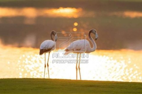Apartment in Al Zorah, Ajman, UAE 1 bedroom, 118.2 sq.m. № 588322 - photo 16