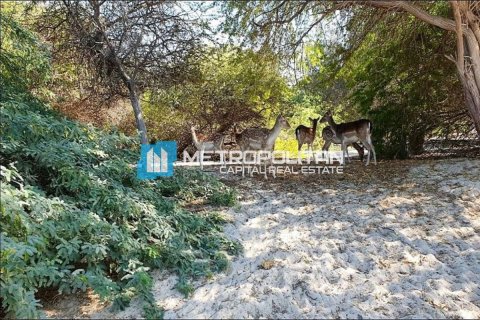 Land in Ghantoot, Abu Dhabi, UAE 756.2 sq.m. № 629162 - photo 6