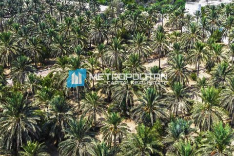 Land in Ghantoot, Abu Dhabi, UAE 756.2 sq.m. № 629162 - photo 10