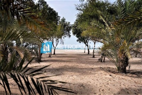 Land in Ghantoot, Abu Dhabi, UAE 756.2 sq.m. № 629162 - photo 5