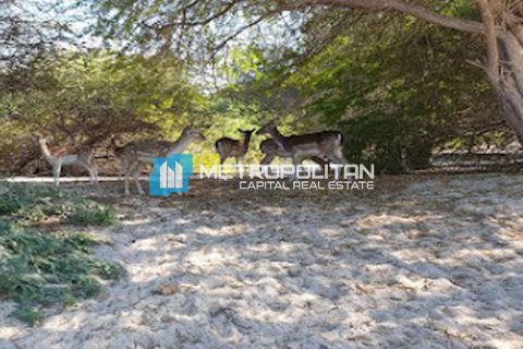 Land in Ghantoot, Abu Dhabi, UAE 756.2 sq.m. № 629162 - photo 9