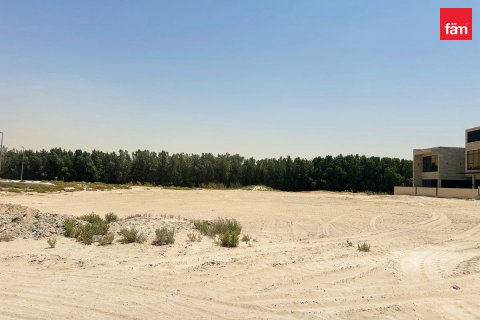 阿联酋 Dubai 待售 : 464.9 平方米 , 编号596054 - 照片 6