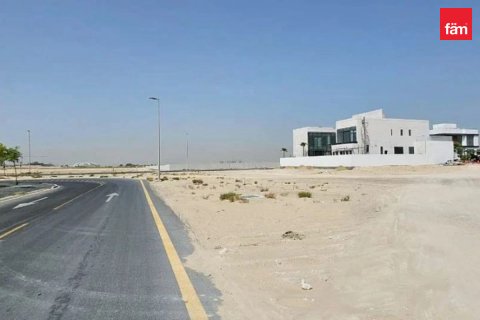 阿联酋 Dubai 待售 : 464.9 平方米 , 编号596054 - 照片 8