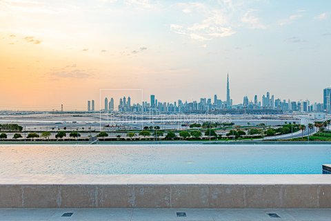Byt v Meydan, Dubai, SAE 1 ložnice, 105.1 m² Č.: 612751 - fotografie 14
