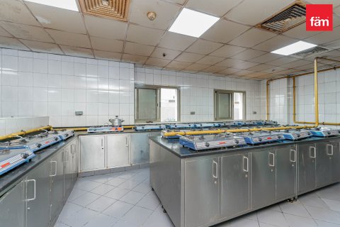 Budova v Dubai, SAE 6858 m² Č.: 582818 - fotografie 14