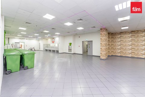 Budova v Dubai, SAE 6858 m² Č.: 582818 - fotografie 9
