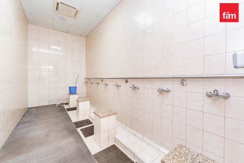 Budova v Dubai, SAE 6858 m² Č.: 582818 - fotografie 15