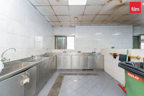 Budova v Dubai, SAE 6858 m² Č.: 582818 - fotografie 12