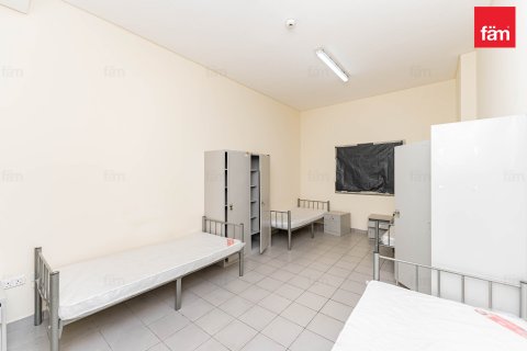 Budova v Dubai, SAE 6858 m² Č.: 582818 - fotografie 20
