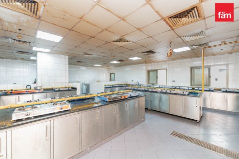 Budova v Dubai, SAE 6858 m² Č.: 582818 - fotografie 13