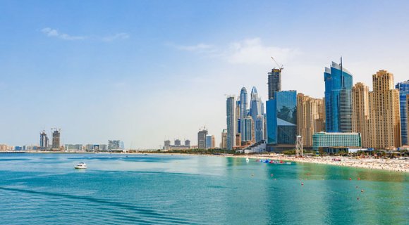 Pet-friendly community: where can you live with animals in Dubai?