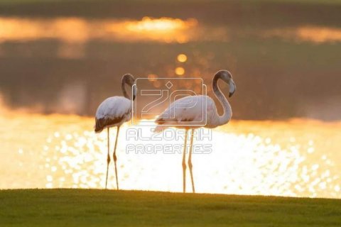 Apartment in Al Zorah, Ajman, UAE 2 bedrooms, 170 sq.m. № 588323 - photo 24