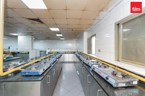 Budova v Dubai, SAE 5388.1 m² Č.: 582829 - fotografie 9