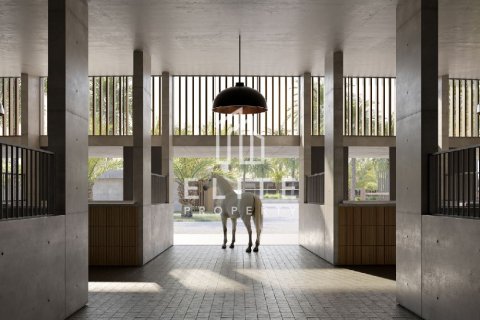 Vila v Dubai, SAE 4 ložnice Č.: 623581 - fotografie 20