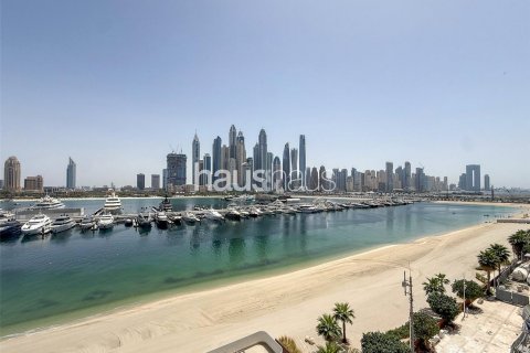 阿联酋 Dubai Dubai Harbour 待租 : 3 卧, 178 平方米 , 编号626872 - 照片 9