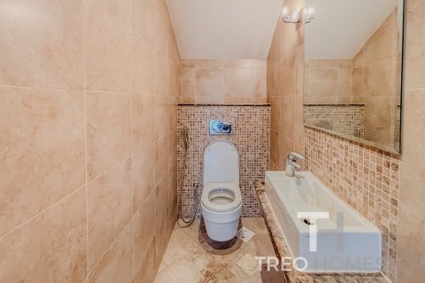 阿联酋 Dubai Jumeirah Park 待租 : 3 卧, 285 平方米 , 编号595571 - 照片 10