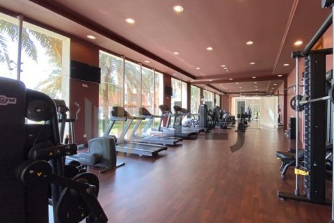 Villa itt: Abu Dhabi Gate City, EAE, 5 hálószoba, 480 m², azonosító: 605490 - fénykép 14