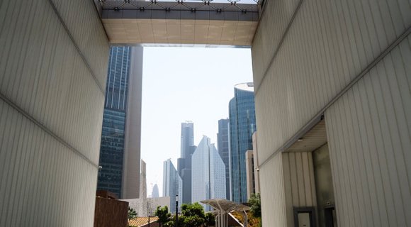 Sustainable Development in the UAE: “Green Standards”