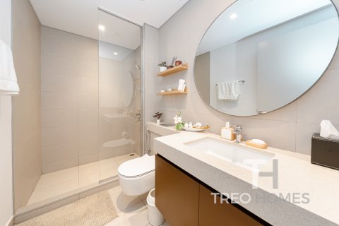Řadový dům v Arabian Ranches 3, Dubai, SAE 4 ložnice, 238 m² Č.: 595540 - fotografie 12