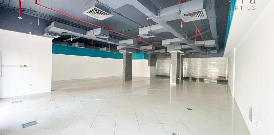 Obchod v Bur Dubai, SAE 165.4 m² Č.: 569271