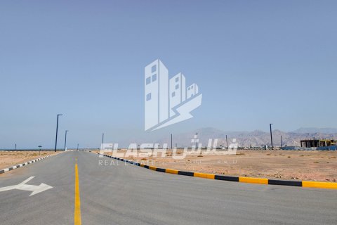 Tokë në Al Mairid, Ras Al Khaimah, Emiratet e Bashkuara Arabe 441 m2. № 611644 - Foto 15