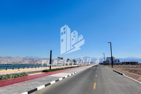 Tokë në Al Mairid, Ras Al Khaimah, Emiratet e Bashkuara Arabe 441 m2. № 611644 - Foto 7