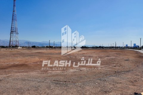 Tokë në Al Mairid, Ras Al Khaimah, Emiratet e Bashkuara Arabe 441 m2. № 611644 - Foto 6