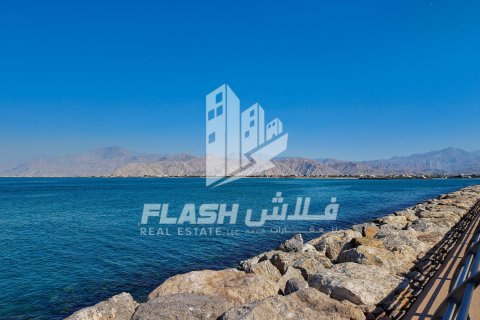 Tokë në Al Mairid, Ras Al Khaimah, Emiratet e Bashkuara Arabe 441 m2. № 611644 - Foto 9