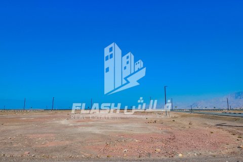 Pozemek v Al Mairid, Ras Al Khaimah, SAE 445.9 m² Č.: 611645 - fotografie 13
