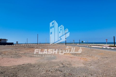 Land in Al Mairid, Ras Al Khaimah, UAE 1193.4 sq.m. № 611662 - photo 11